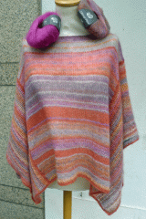 p1120023-1.gif
